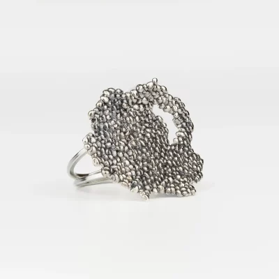 Canto Rodado Anel Maxi Prata